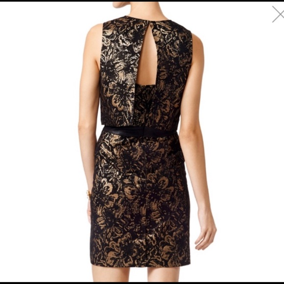 Cynthia Steffe Gold Floral Jacquard Popover Dress - Picture 4 of 14